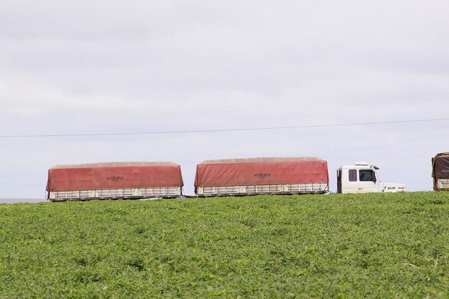 Caminhão