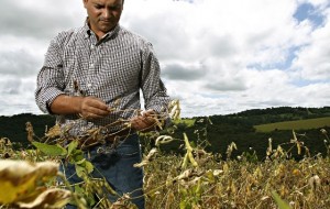 Josué Teixeira/Gazeta do Povo