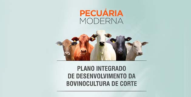Plano integrado de desenvolvimento da bovinocultura de corte