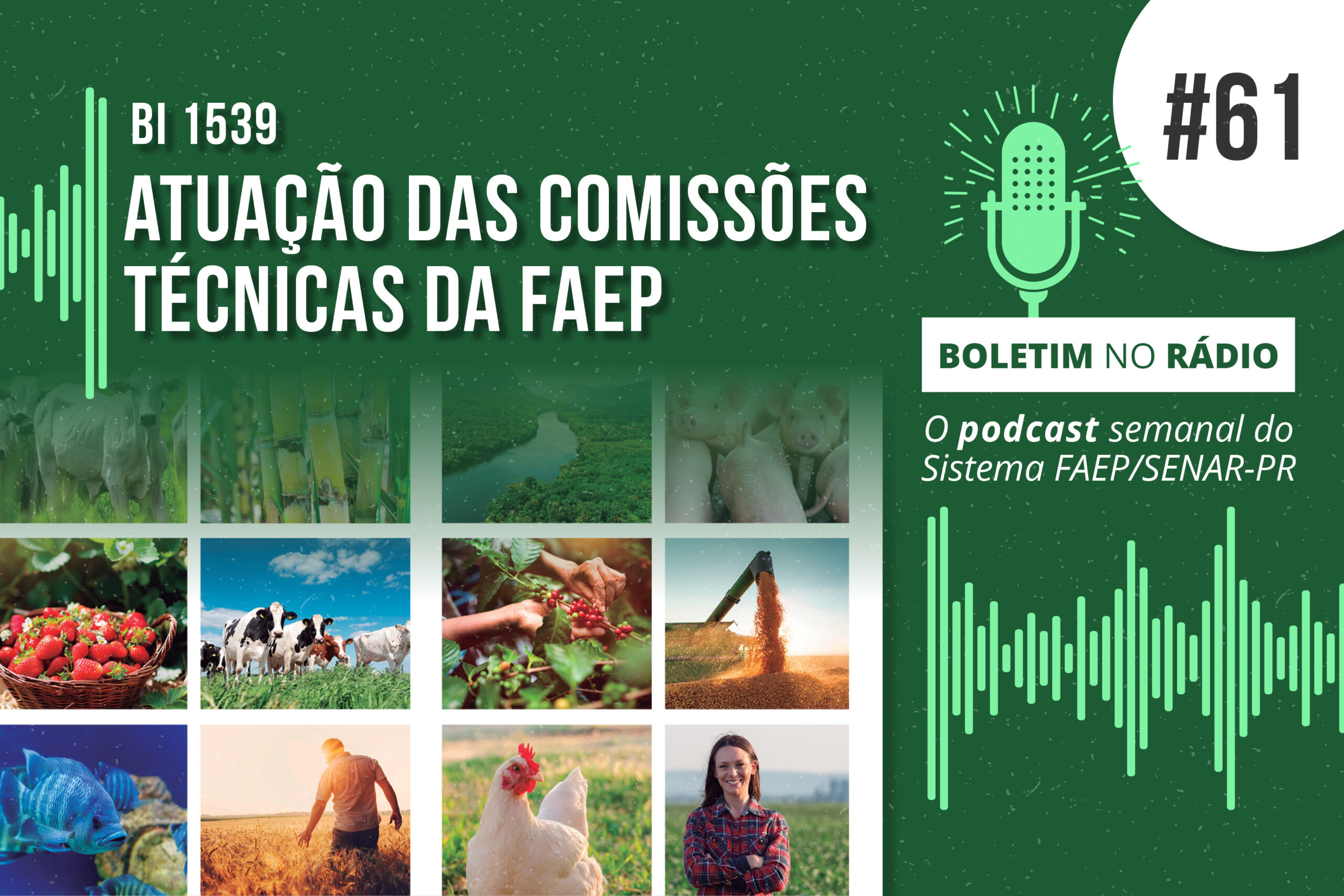 Atuação das Comissões Técnicas da FAEP