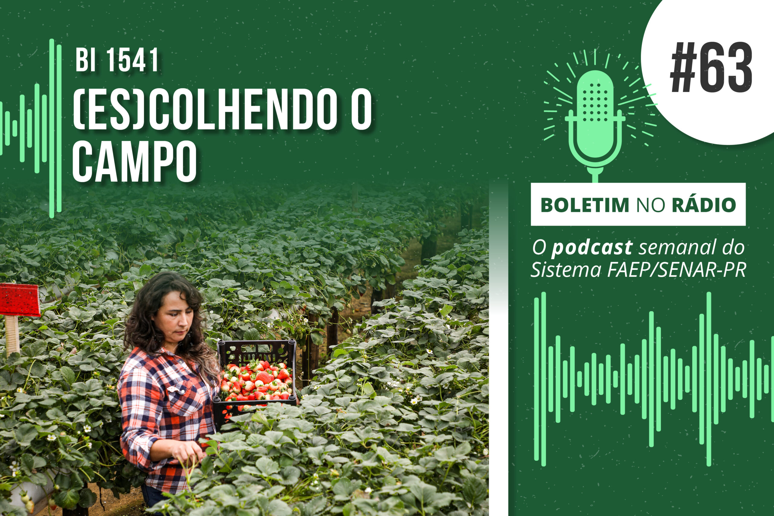 Podcast #63 O campo como opção de vida