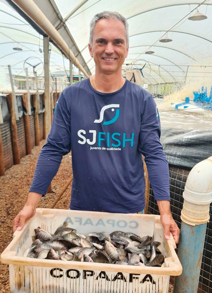 Homem vestindo blusa azul de mangas compridas, em que se lê "SJ Fish juvenis de qualidade", segura caixa plástica cheia de juvenis de tilápia.