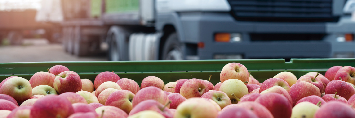 Imagem mostra carga de maçãs em primeiro plano. Ao fundo, vê-se um caminhão