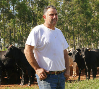 O produtor César Vellini, em frente a um rebanho bovino. Ao fundo, vê-se eucaliptos