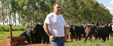 O produtor César Vellini, em frente a um rebanho bovino. Ao fundo, vê-se eucaliptos