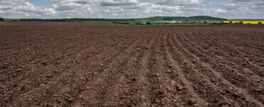 Campo arado com terra saliente demonstrando terra nua. Ao fundo, árvores e algumas plantações.