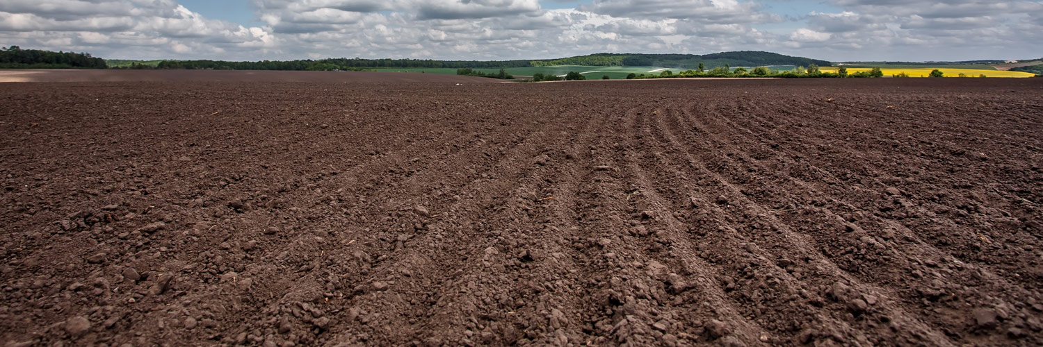 Campo arado com terra saliente demonstrando terra nua. Ao fundo, árvores e algumas plantações.