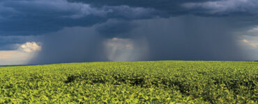 lavoura sob céu escuro com muita chuva caindo