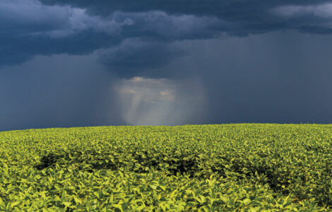 lavoura sob céu escuro com muita chuva caindo