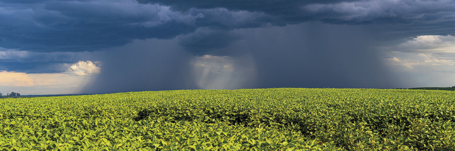 lavoura sob céu escuro com muita chuva caindo