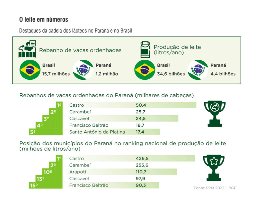 Gráfico com números totais de rebanho e vacas ordenhadas no Brasil e no Paraná, além dos municípios maiores em produção e rebanho no Paraná