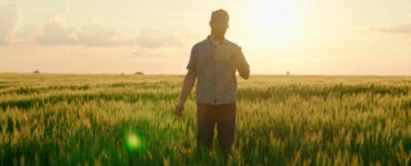 Produtor rural em um campo de trigo aparece de costas com céu do entardecer e o sol ao fundo