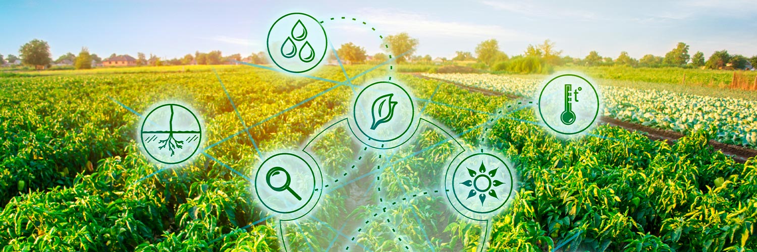 Imagem com campo de soja e ícones que remetem à tecnologia, representando a ideia do Ideathon do Sistema FAEP/SENAR-PR