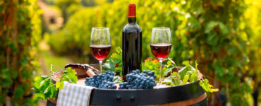 Taças, garrafa de vinho e uvas em uma mesa posta em uma plantação de uva, que aparece em segundo plano, ao fundo