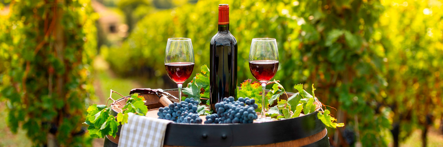 Taças, garrafa de vinho e uvas em uma mesa posta em uma plantação de uva, que aparece em segundo plano, ao fundo