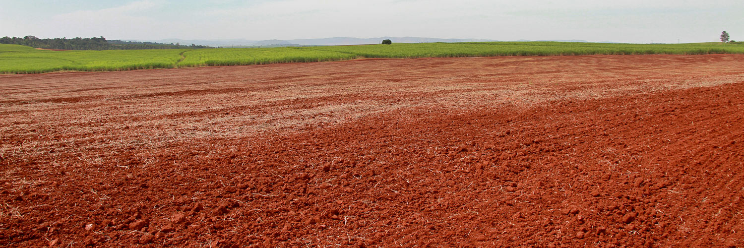 imagem de lavoura em planície, pronta para receber sementes de soja, em conformidade com o novo vazio sanitário da soja