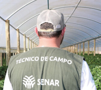 Assistência Técnica e Gerencial