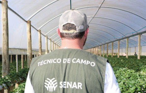 Assistência Técnica e Gerencial