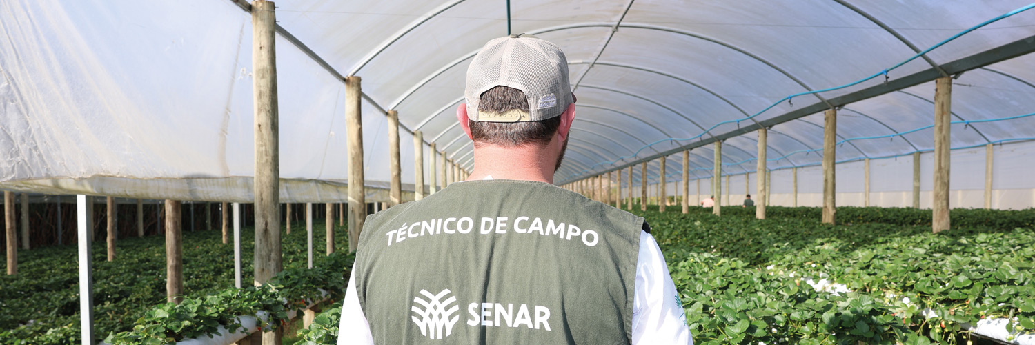 Assistência Técnica e Gerencial