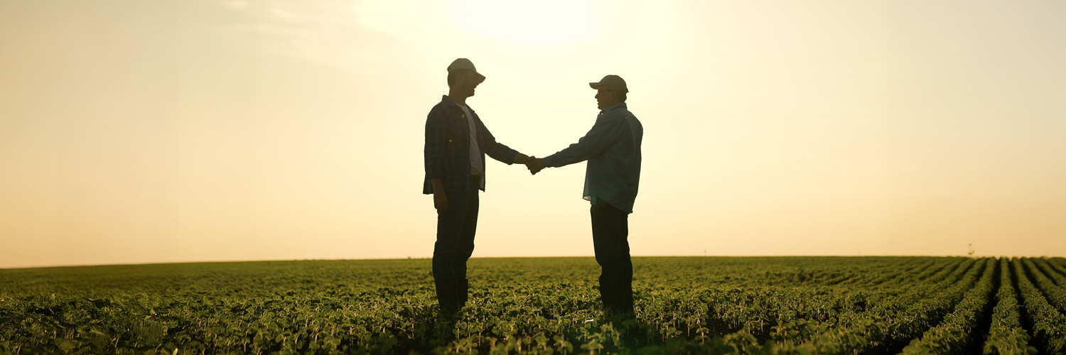 Duas pessoas em uma lavoura no pôr do sol dão um aperto de mãos, simbolizando o fortalecimento da represenatividade rural com o projeto Sindicato Protagonista