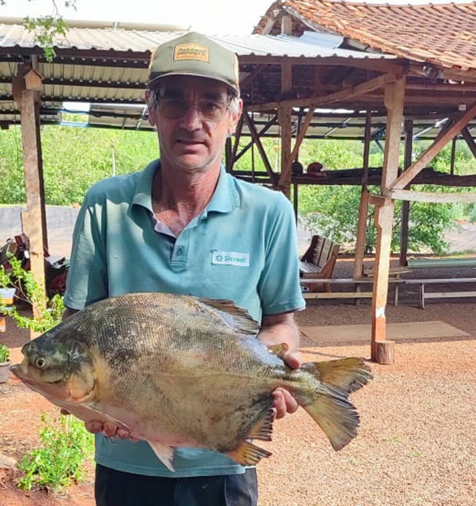 Hilário Schoninger, produtor de peixe de Marechal Cândido Rondon (PR)